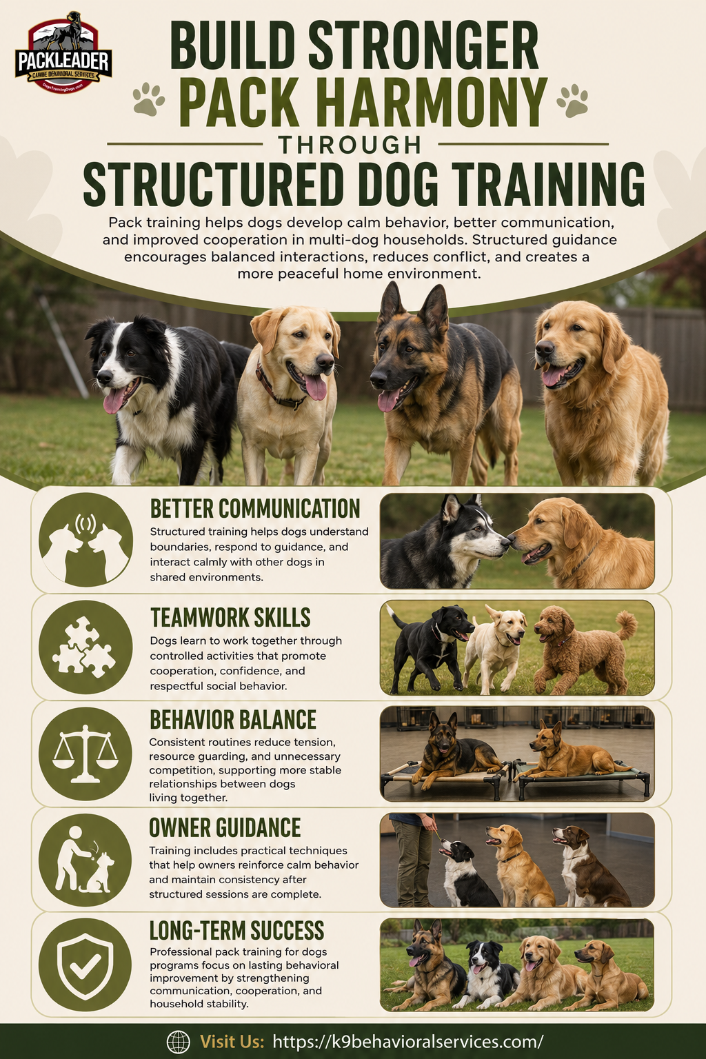 Build%20Stronger%20Pack%20Harmony%20Through%20Structured%20Dog%20Training.png